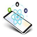 Custom ReactJS development