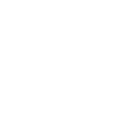 Insights and Report