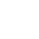 Online Payment