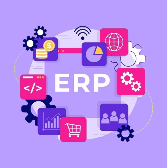 ERP Software Development Company