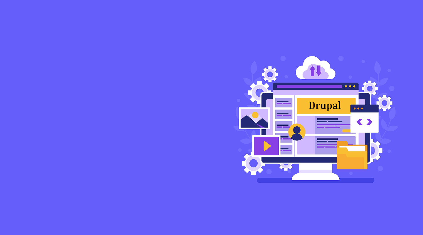 drupal development services banner 